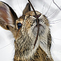 Mmm.. I like twiggy...