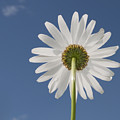 Memories of Summer..