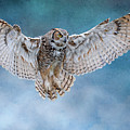 Wide Open Wings